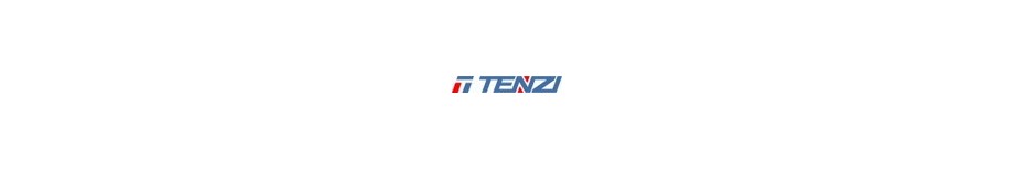 TENZI